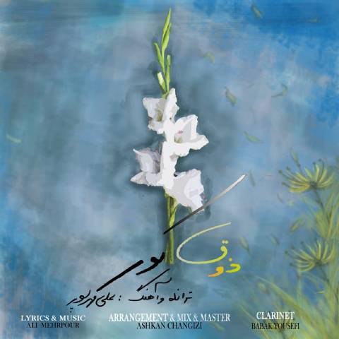 دانلود آهنگ علی مهرپور به نام ذوق کور